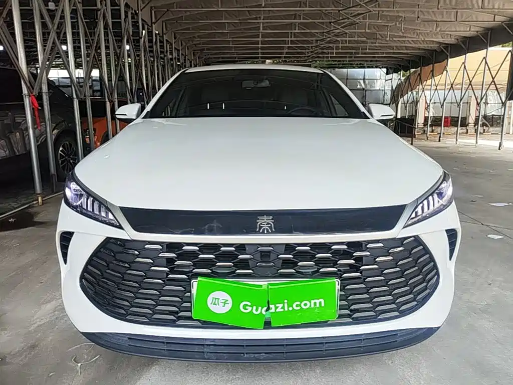 BYD Qin PLUS 2025 DM-i Smart Drive 55KM Leader фото 3
