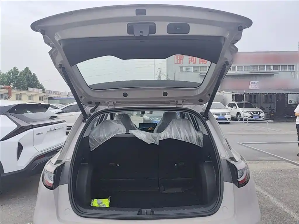 Geely Galaxy Starry Wish 2026 Model 310km Dream Edition фото 19