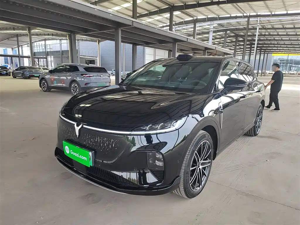 Voyah Auto Voyah Zhiyin 2025 Base