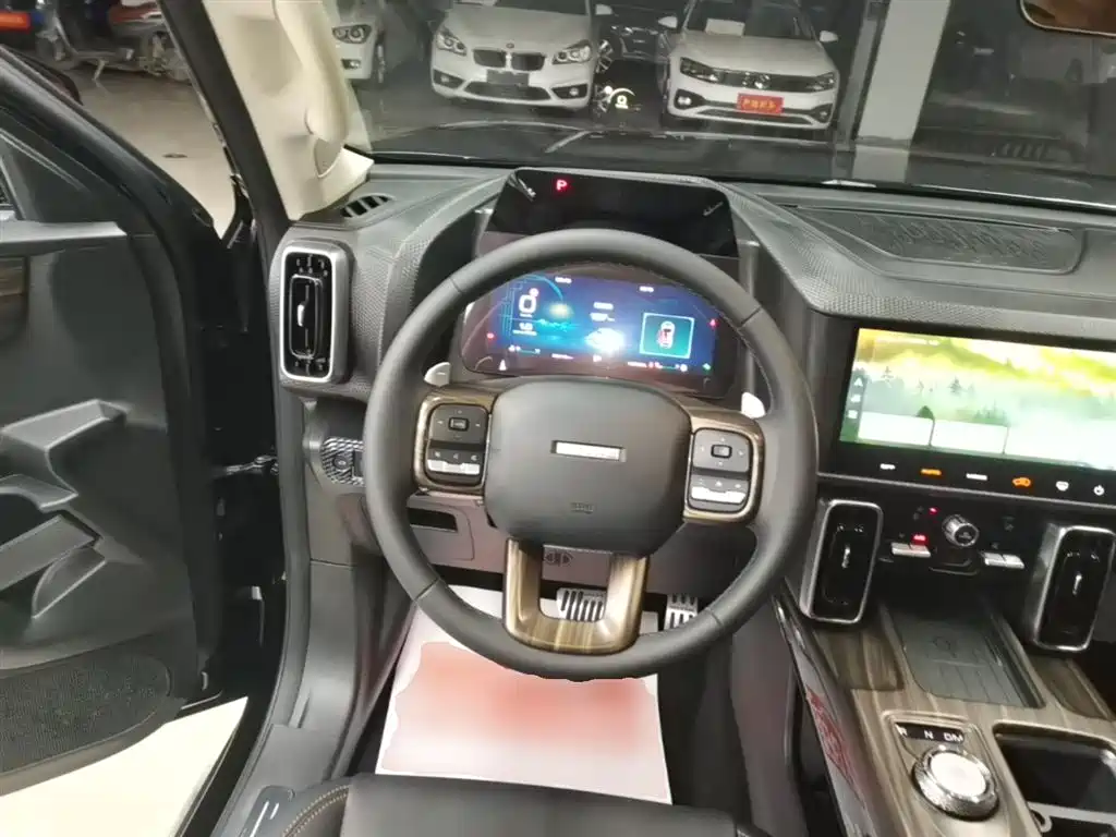 Haval Big Dog 2022 1.5T DCT FWD Border Collie Edition фото 11
