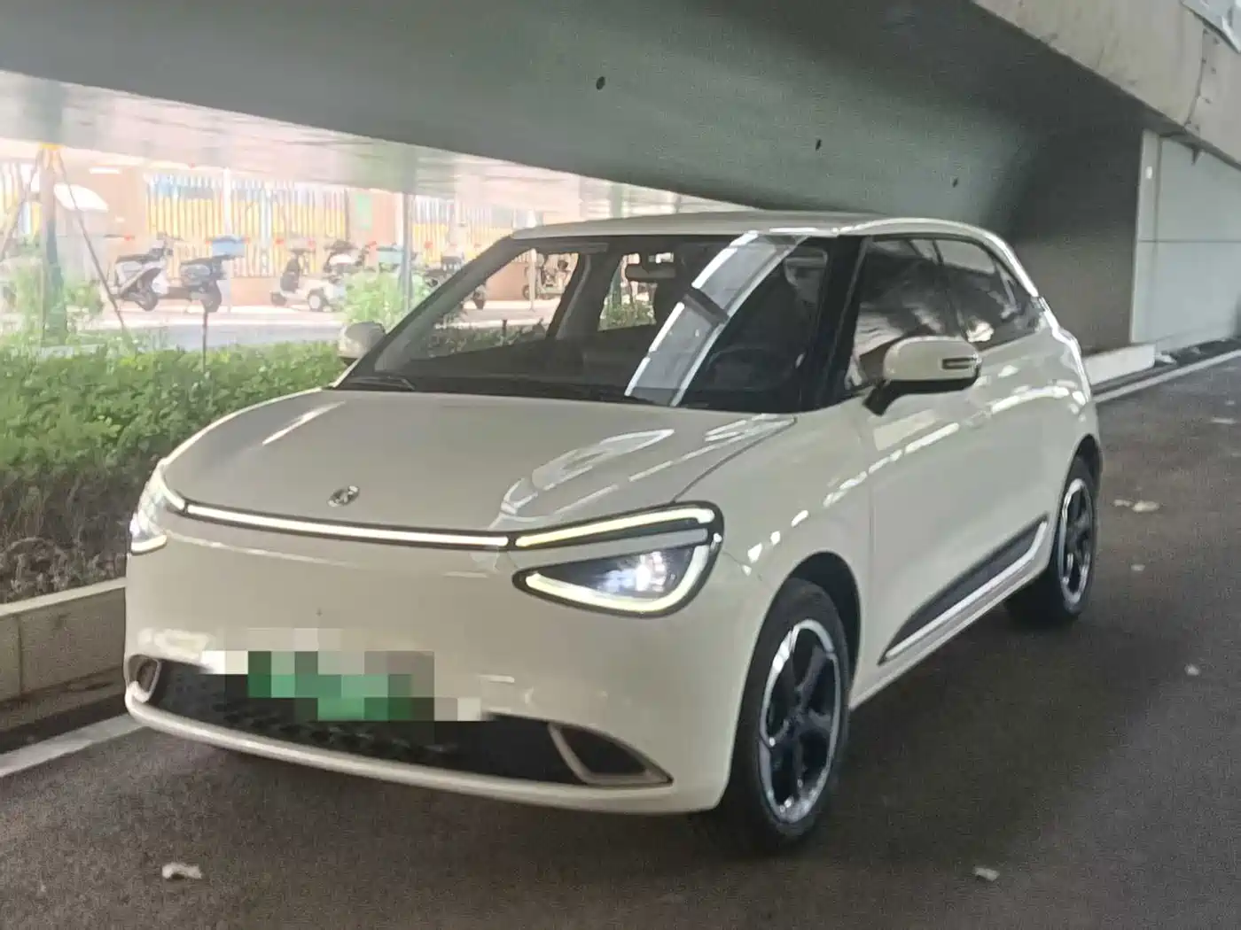 Dongfeng Yipai Nano 01 2025 2024 330 Plus