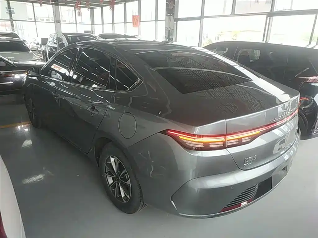 BYD Destroyer 05 2024 Glory Edition DM-i 55KM Luxury фото 5