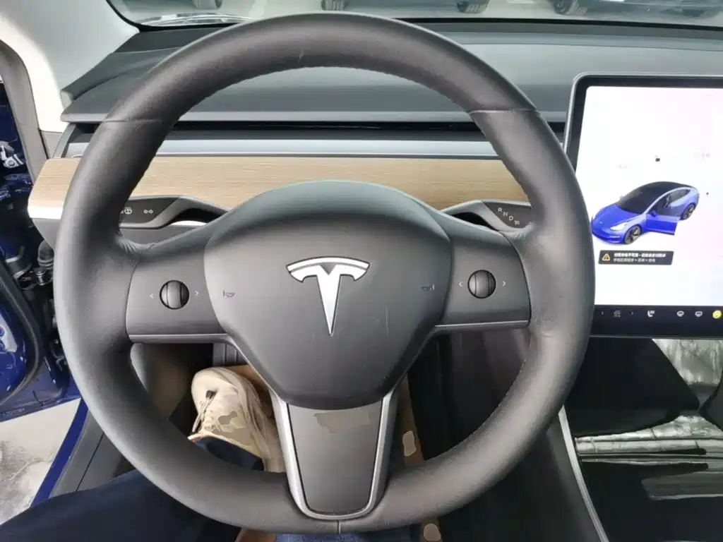 Tesla Model 3 (Import) 2019 2019 Long Range RWD Version
