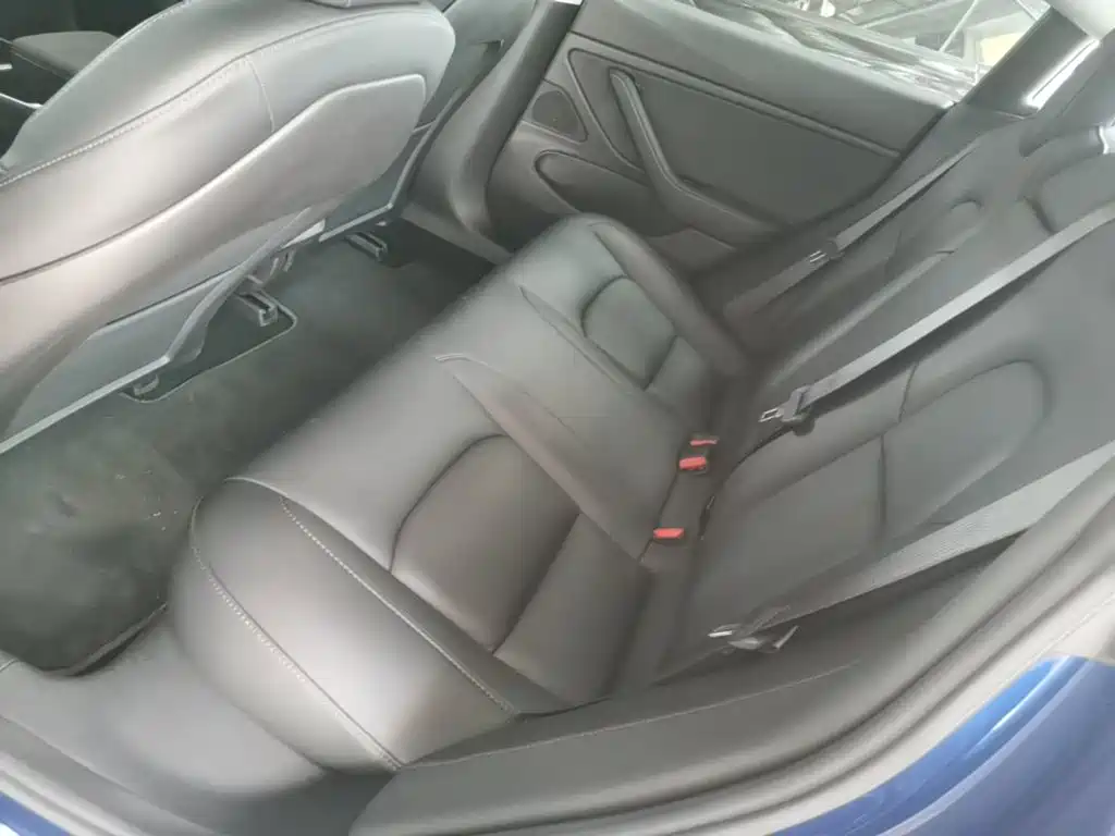 Tesla Model 3 (Import) 2019 2019 Long Range RWD Version
