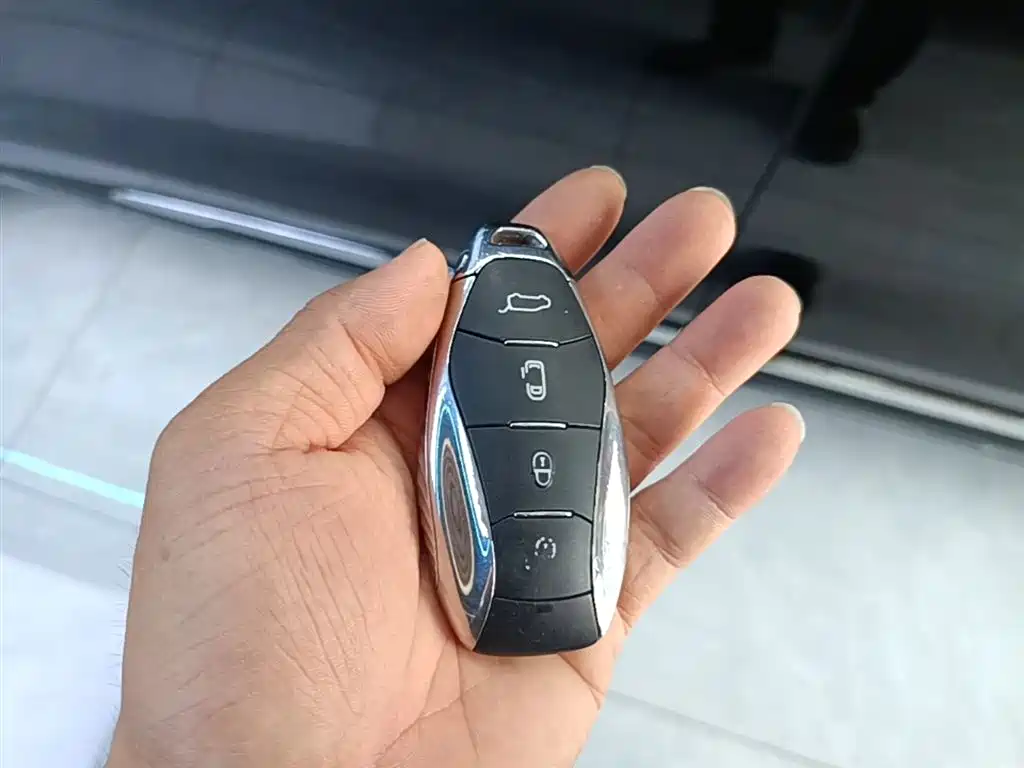 Hongqi HQ9 2023 2.0T Smart Connect Flag Enjoy Edition фото 9