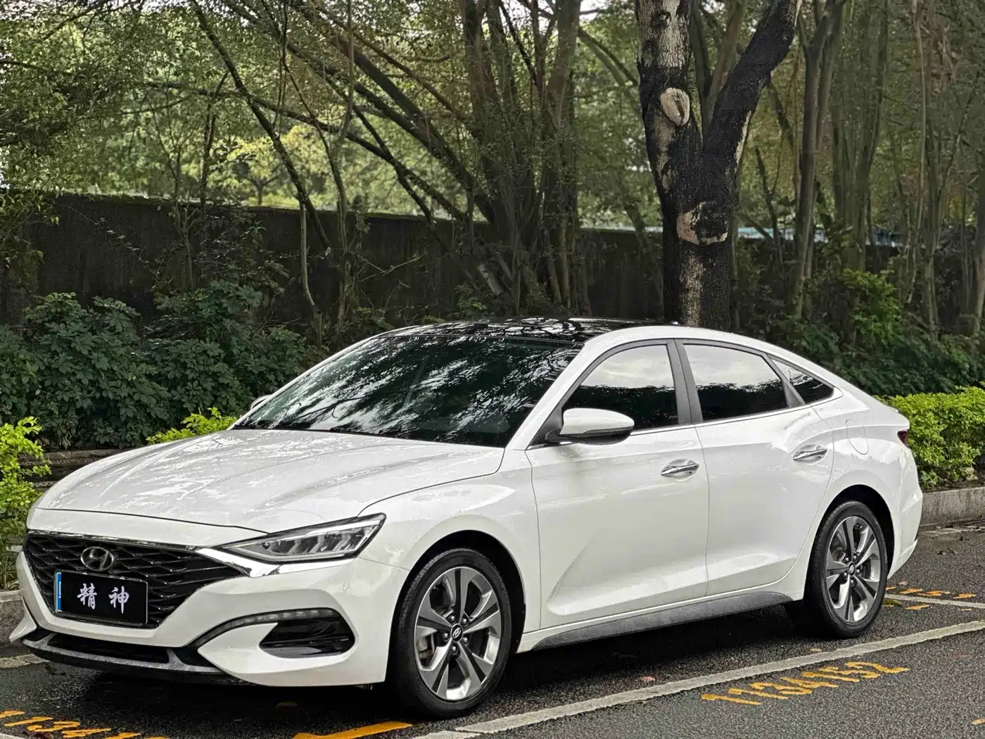 Hyundai Fista 2019 280TGDi Sport Edition China V