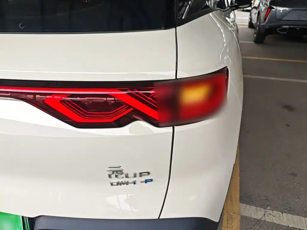 BYD Yuan UP 2025 2025 Model 301KM Navigator