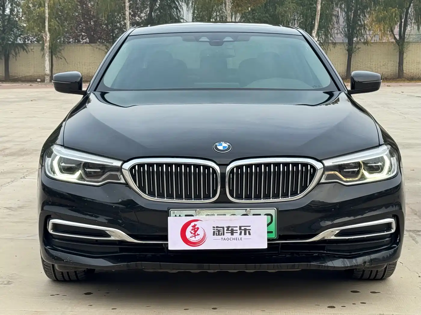 BMW 5 Series New Energy 2020 530Le Range Upgrade Luxury Package фото 2