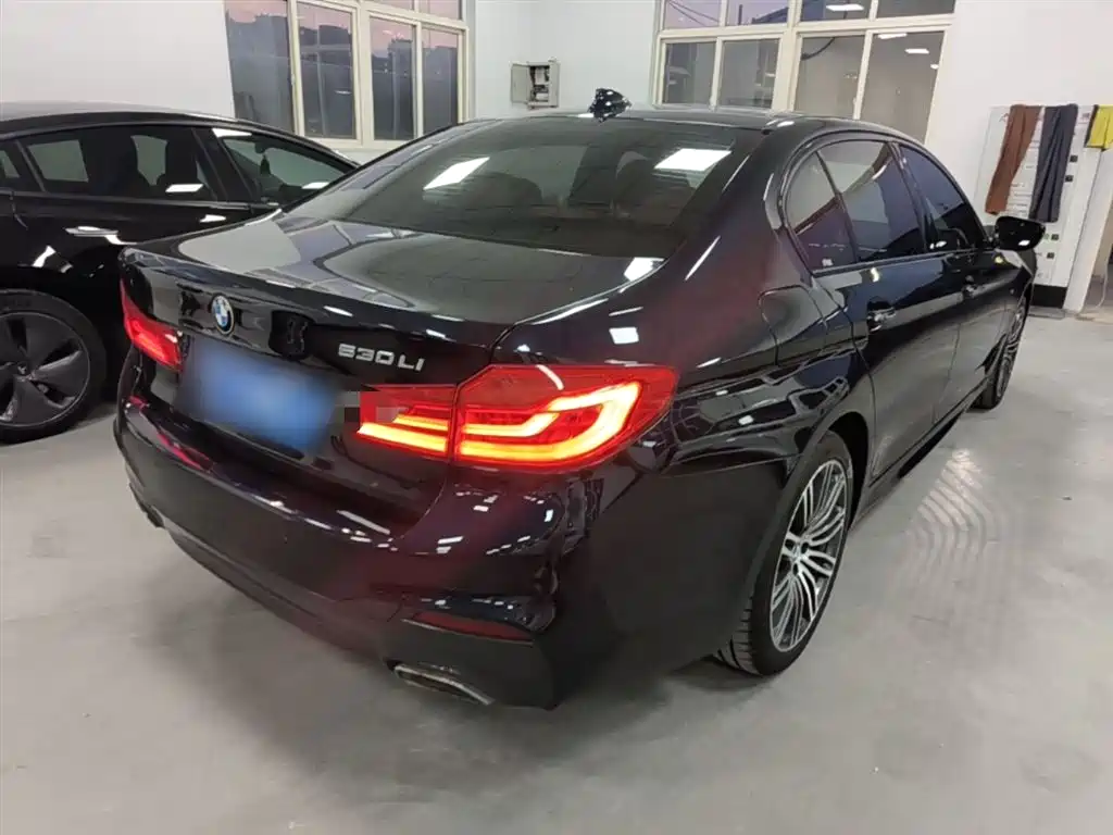 BMW 5 Series 2018 Facelift 530Li Leading M Sport Package фото 7