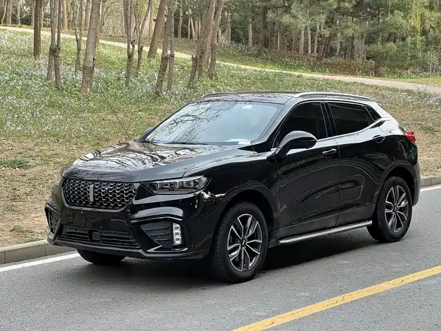 WEI PAI WEI BRAND VV5