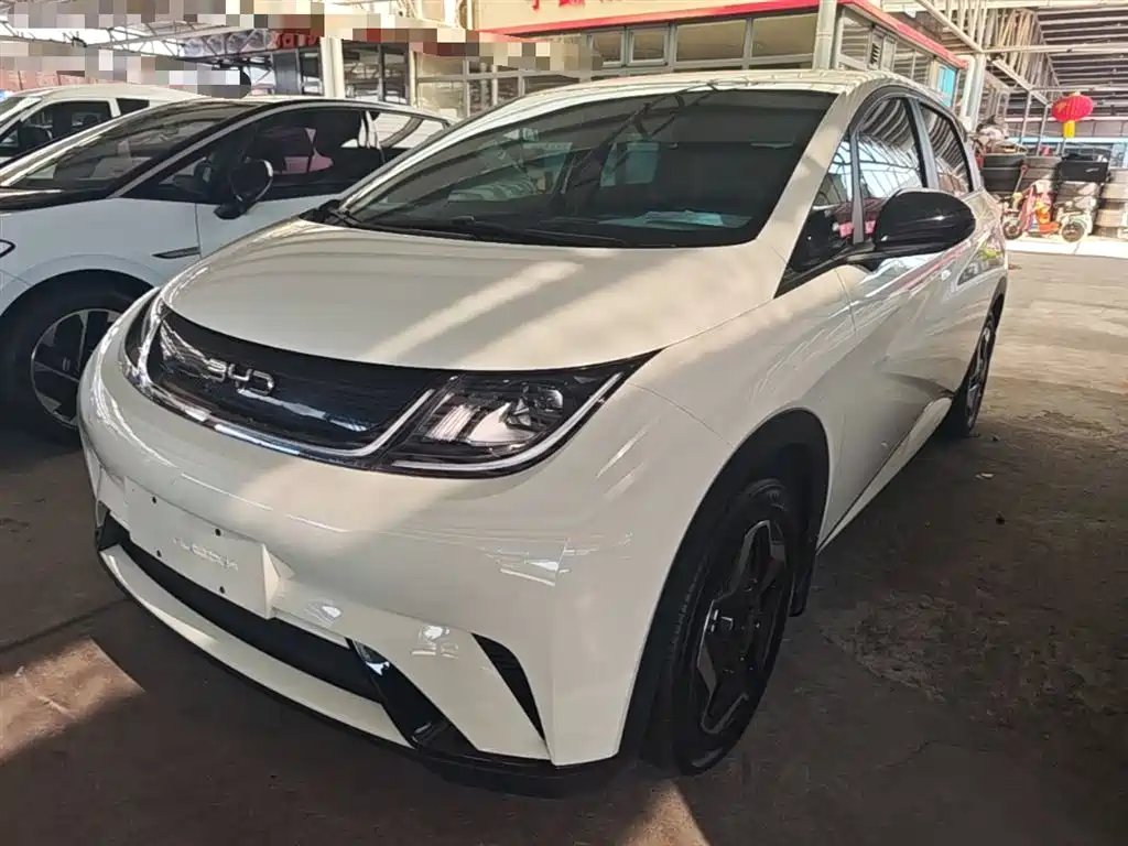 BYD Dolphin 2025 420km Vitality Edition
