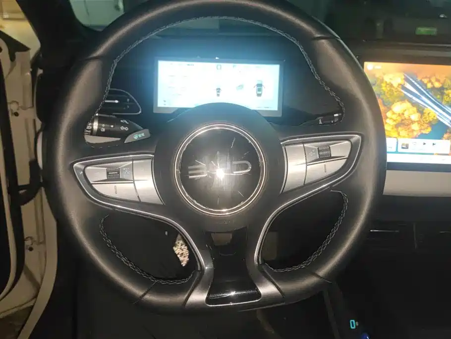 BYD Seal 06 New Energy 2025 DM-i Smart Drive 80KM Luxury фото 15