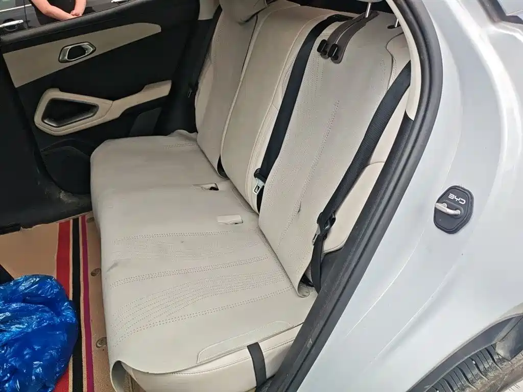 BYD Yuan UP 2024 401KM Leading Edition фото 15