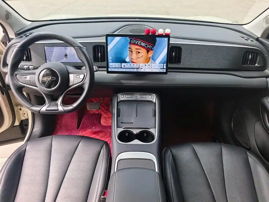 BYD Hai Shi 05 EV 2025 520KM Smart Navigation Edition фото 9