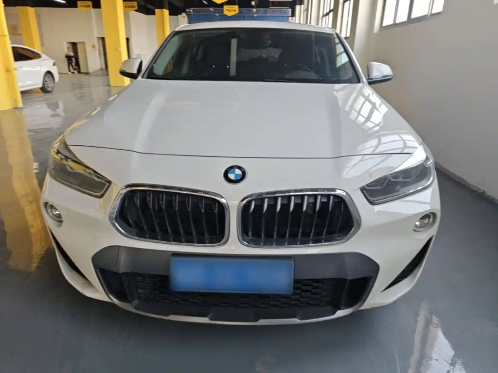 BMW X2 (Import) 2019 2019 sDrive25i Leading M Off-Road Package China VI