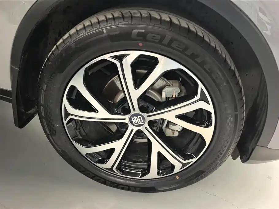 BYD Tang New Energy 2025 DM-i 115KM Flagship фото 6
