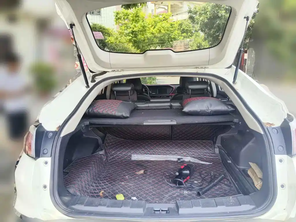 Venucia T90 2018 2017 2.0L CVT Smart Edition