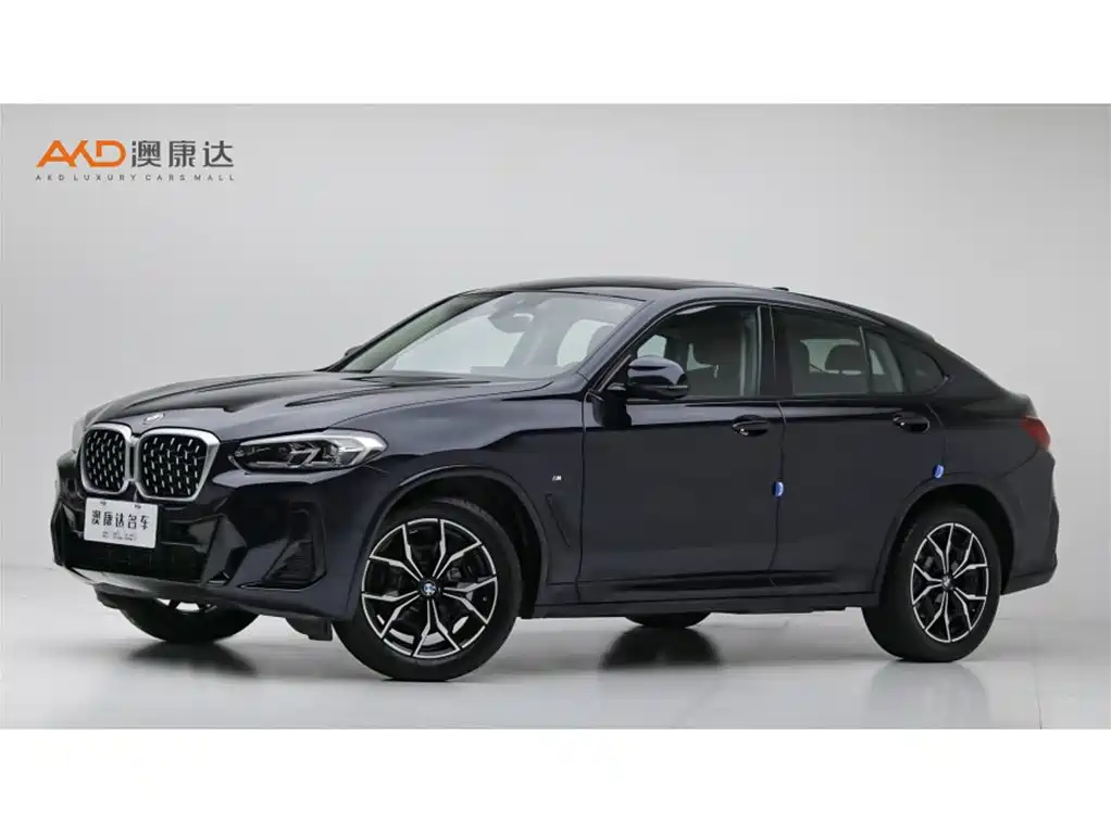 BMW X4 2024 2022 xDrive 25i M Sport Package