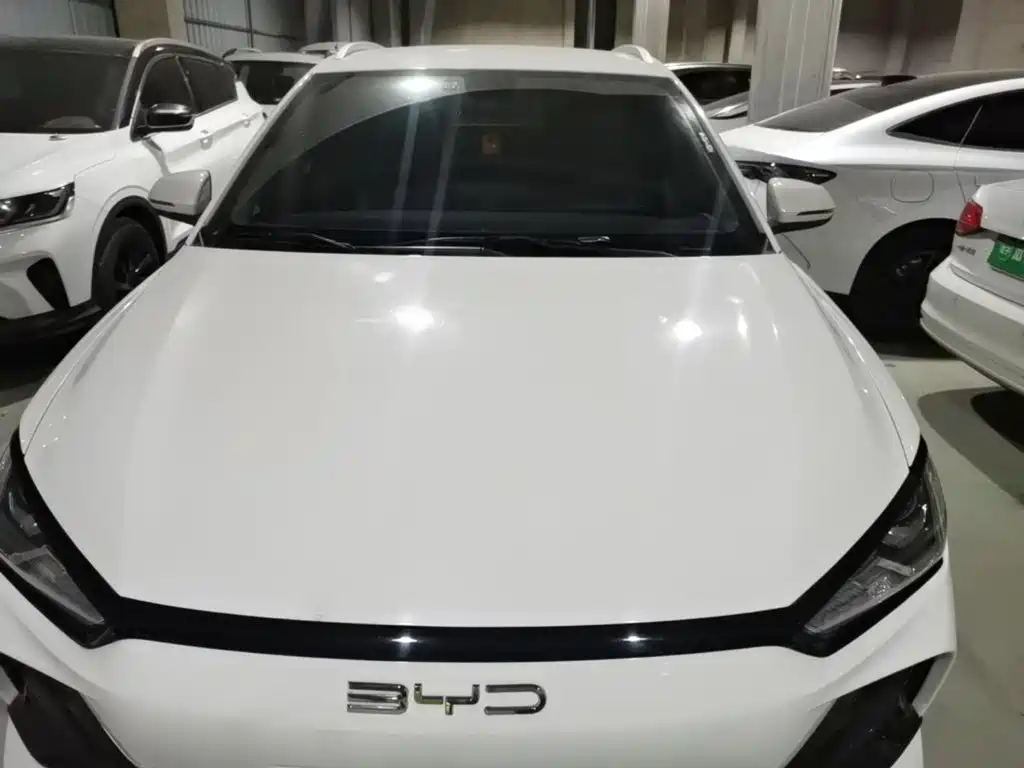 Фото 22 - BYD e2
