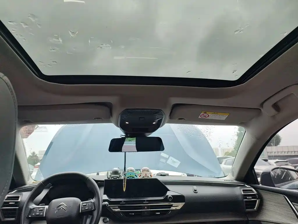 Фото 9 - Citroën Versailles C5 X