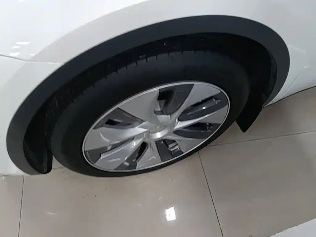 Tesla Model Y 2021 2021 Standard Range Rear-Wheel Drive