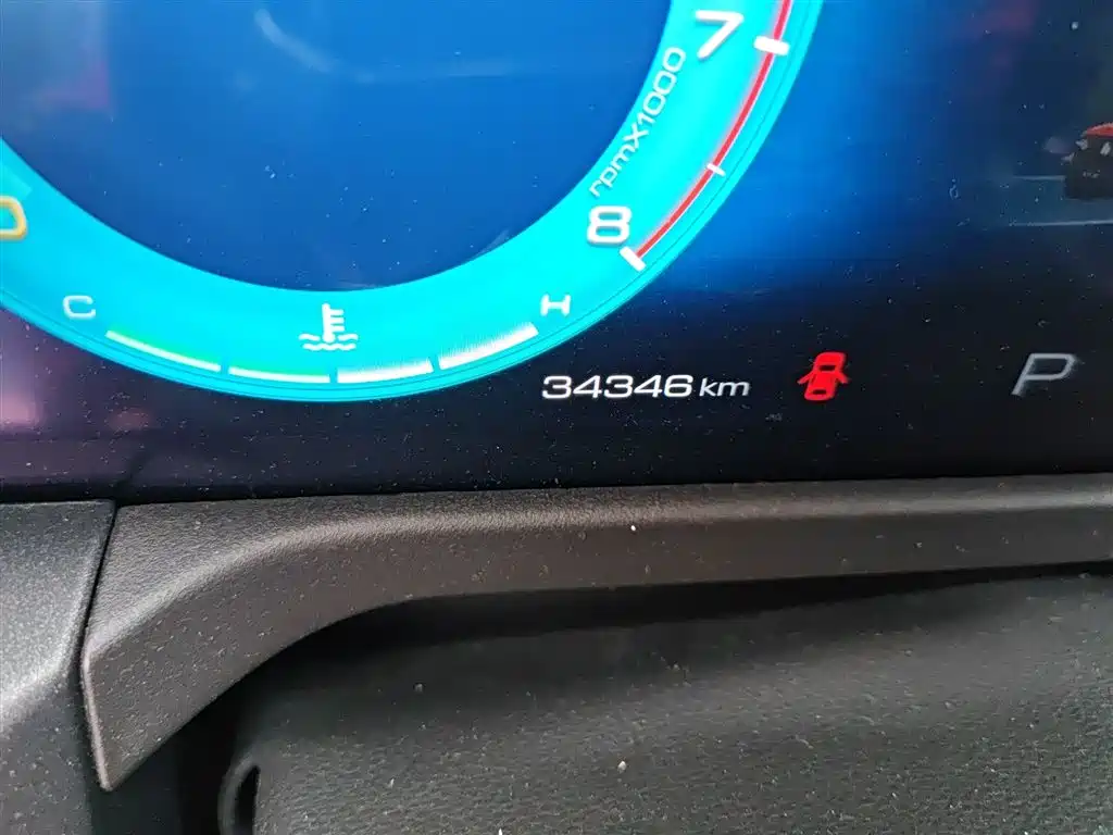 Tank 300 2021 Off-road Edition 2.0T Challenger фото 8