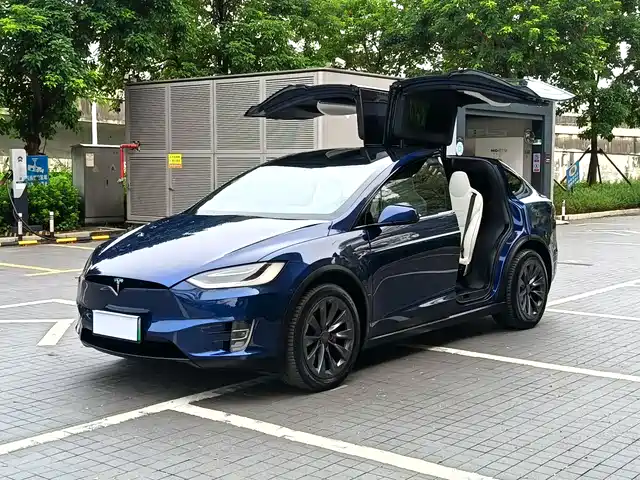  Tesla Model X 2016 Model X P100D Performance