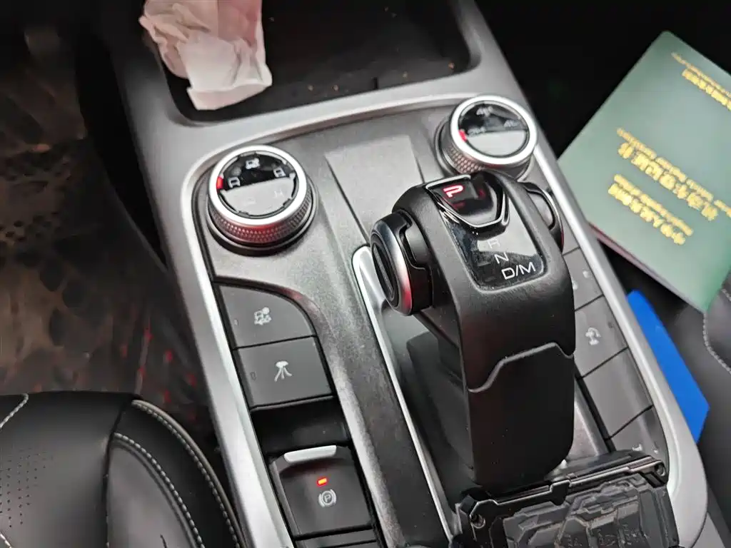 Tank 300 2021 Off-road Edition 2.0T Challenger фото 10