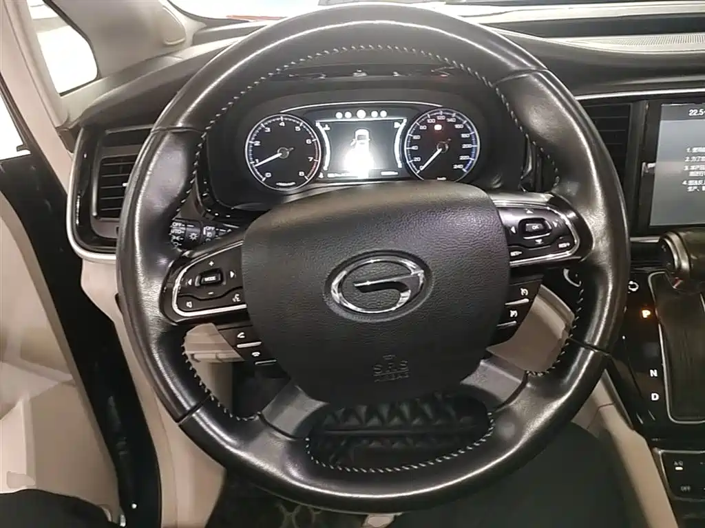 GAC Trumpchi Trumpchi M8 2018 320T Premium Edition фото 11