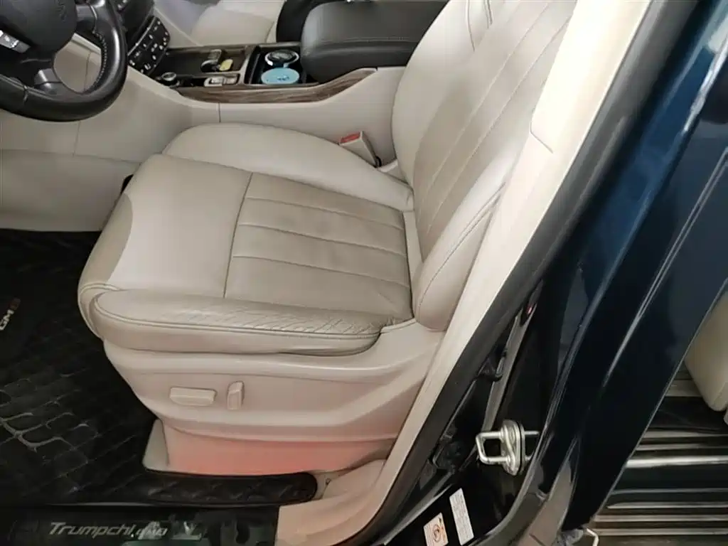 GAC Trumpchi Trumpchi M8 2018 320T Premium Edition фото 15