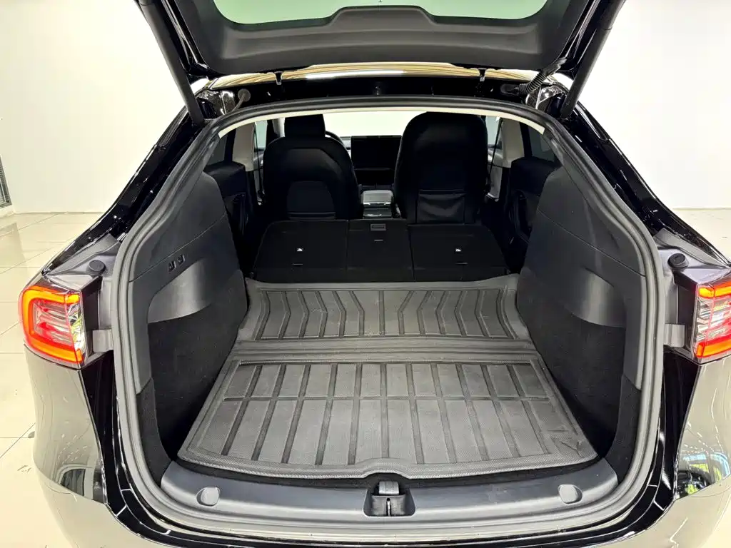Tesla Model Y 2021 2021 Standard Range Rear-Wheel Drive