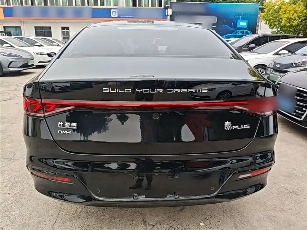 BYD Qin PLUS 2023 Champion Edition DM-i 120KM Surpassing Type фото 6