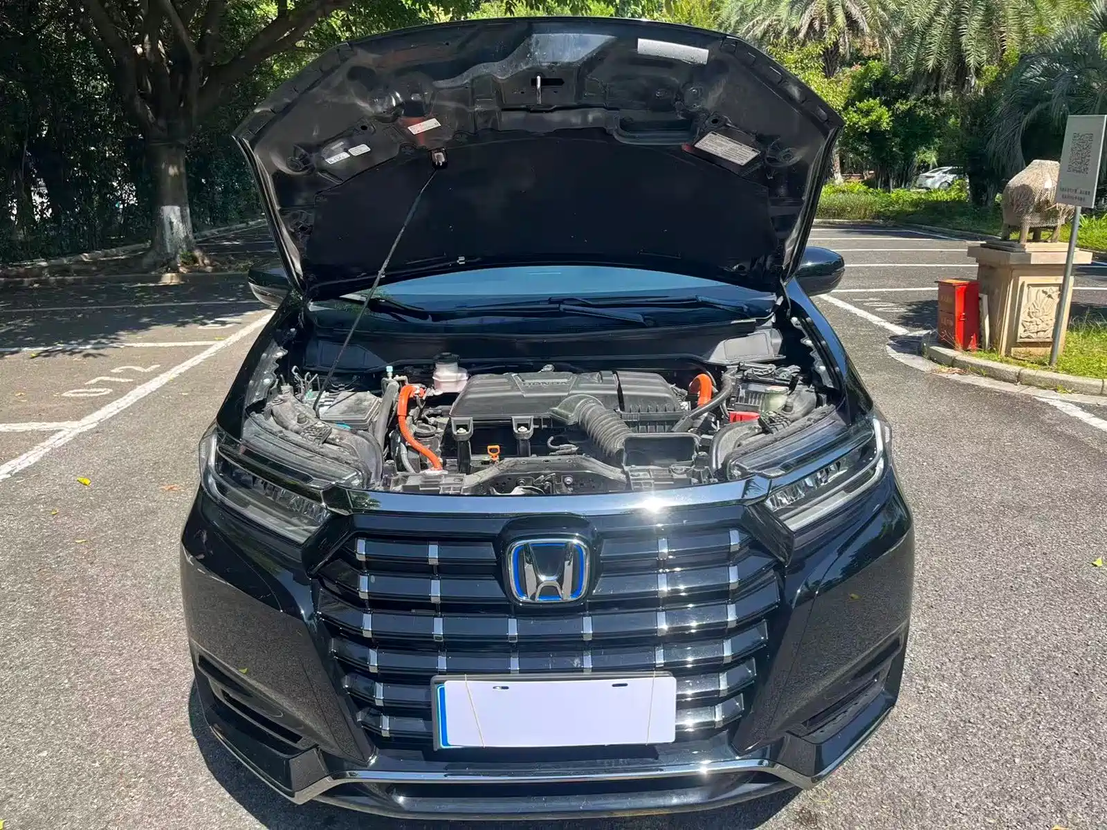 Фото 11 - Honda Elysion