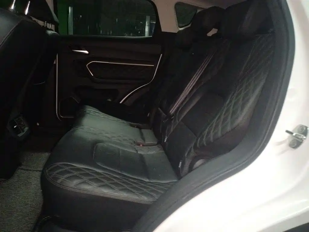 Haval H6 2020 1.5GDIT Automatic Platinum Champion Edition фото 15