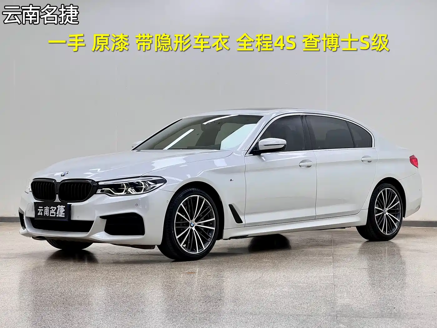 BMW 5 Series 2020 530Li Exclusive M Sport Package