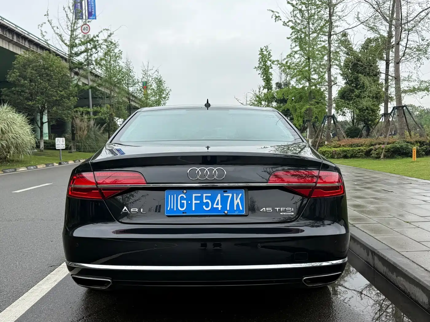 Audi A8 2014 A8L 45 TFSI quattro Comfort фото 9