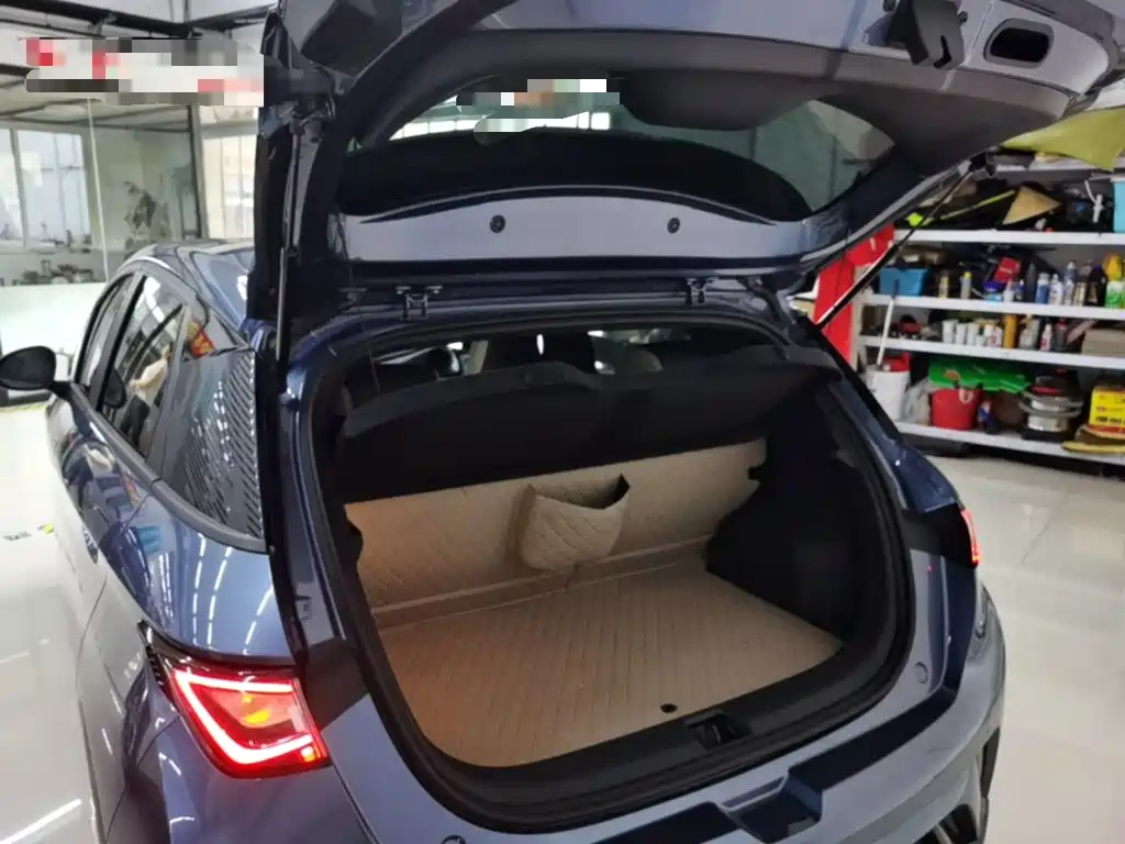 BYD Dolphin 2026 2025 420km Freedom Edition