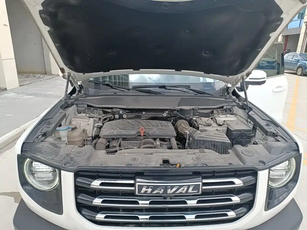 Фото 20 - Haval Dargo