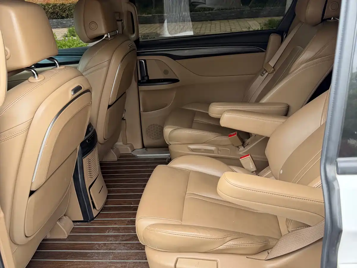 Buick GL8 2021 ES Landlord 653T Premium фото 5