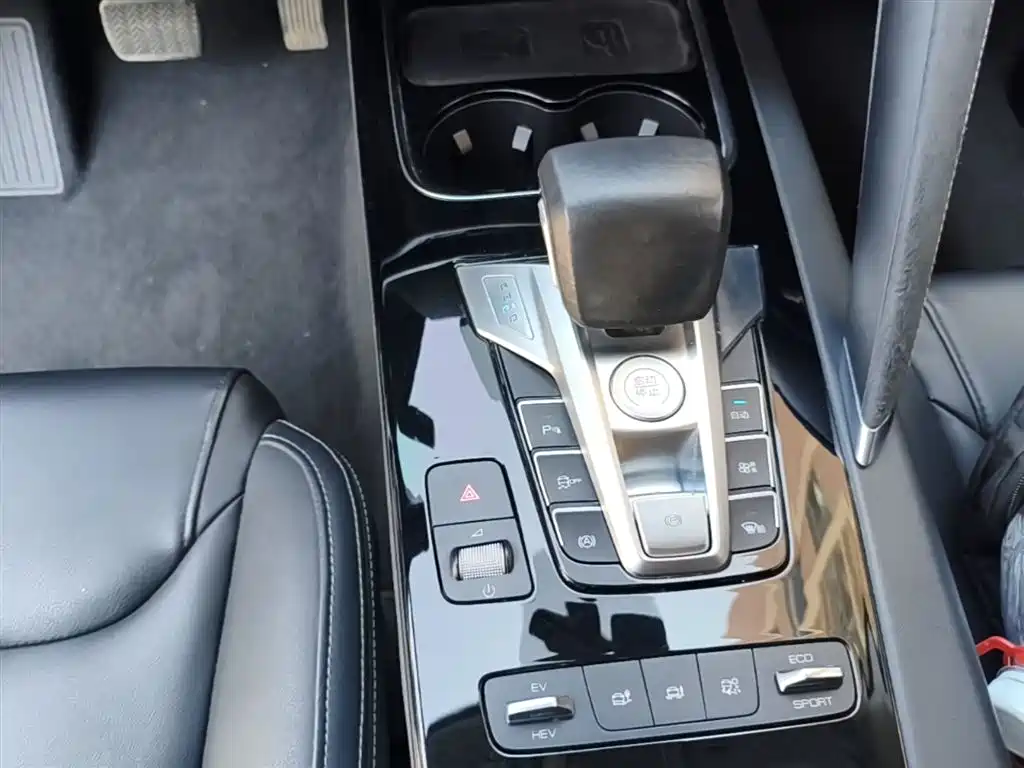 BYD Song Pro New Energy 2019 DM 1.5T 4WD Performance Luxury фото 14