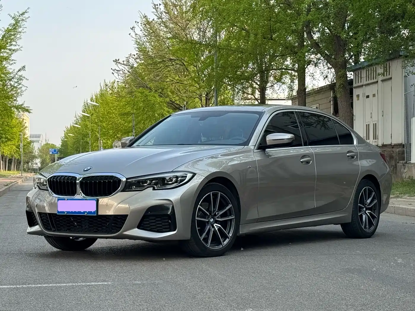 BMW 3 Series 2020 320Li M Sport Package
