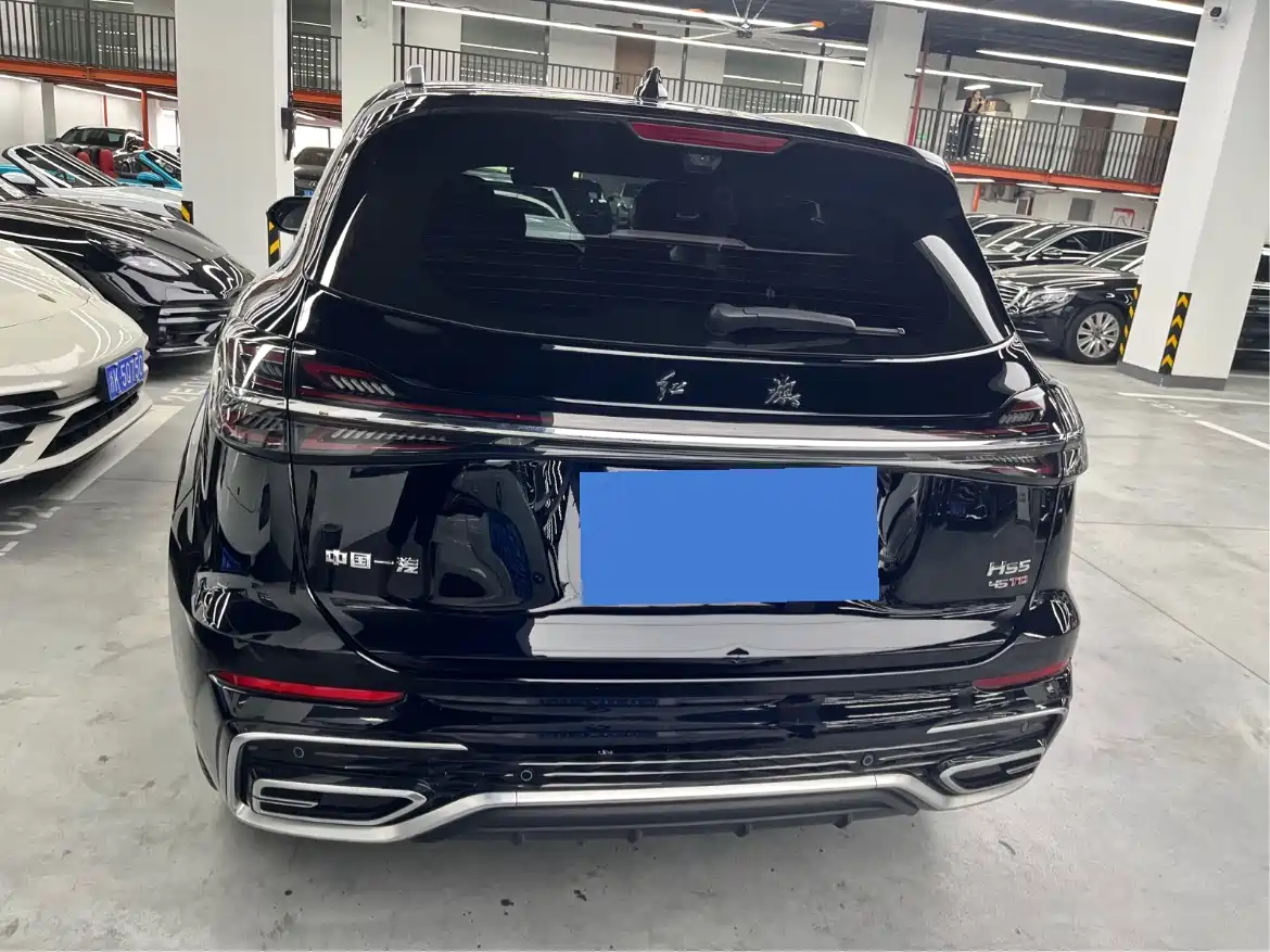 Hongqi HS5 2025 2025 2.0T 2WD Qixiang Pro