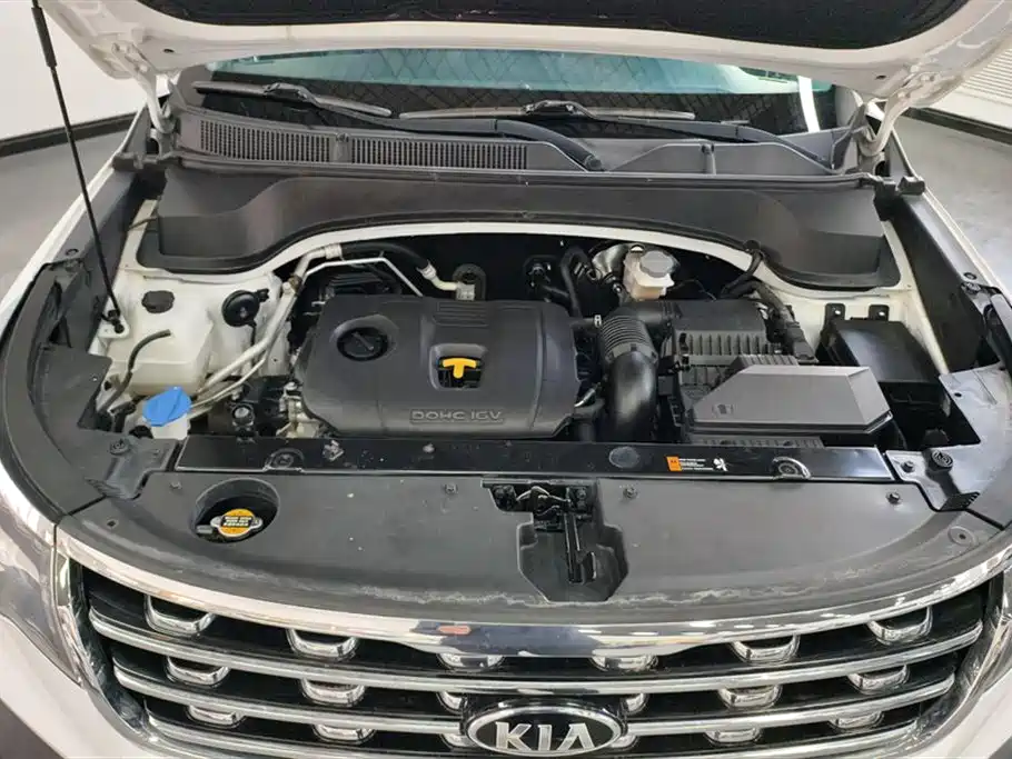 Kia Sportage 2018 2.0L Automatic Smart Luxury (China V) фото 10