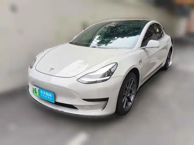 Tesla Model 3 2020 Standard Range Rear-Wheel Drive Upgrade — фото 1