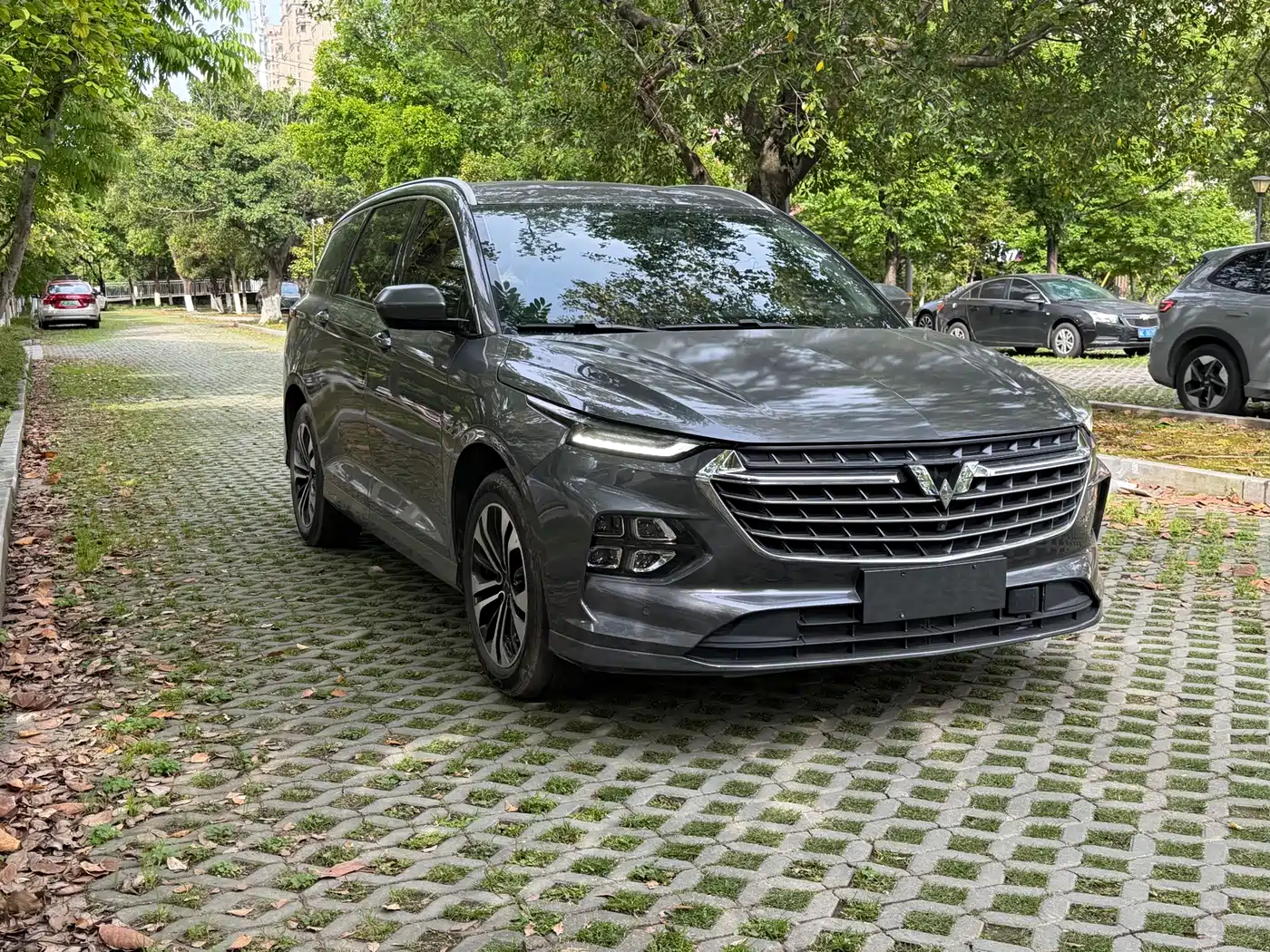 Wuling Motors Wuling Victory 2021 2020 1.5T CVT Flagship