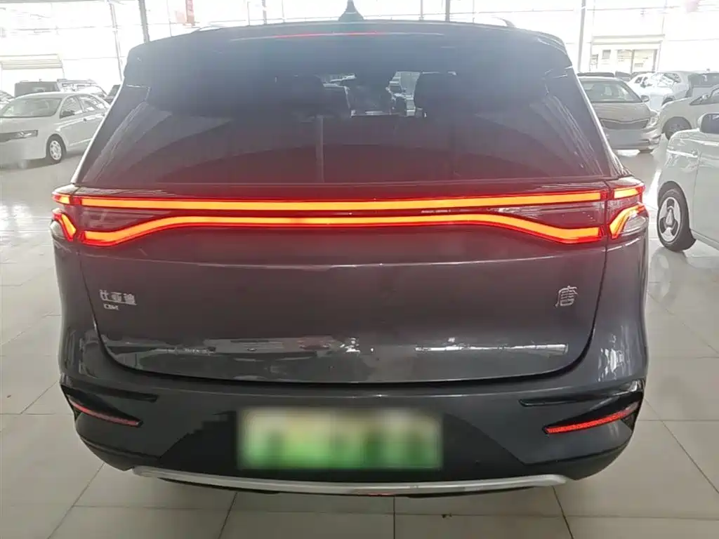 BYD Tang New Energy 2021 DM 2.0T 4WD Performance Premium фото 6