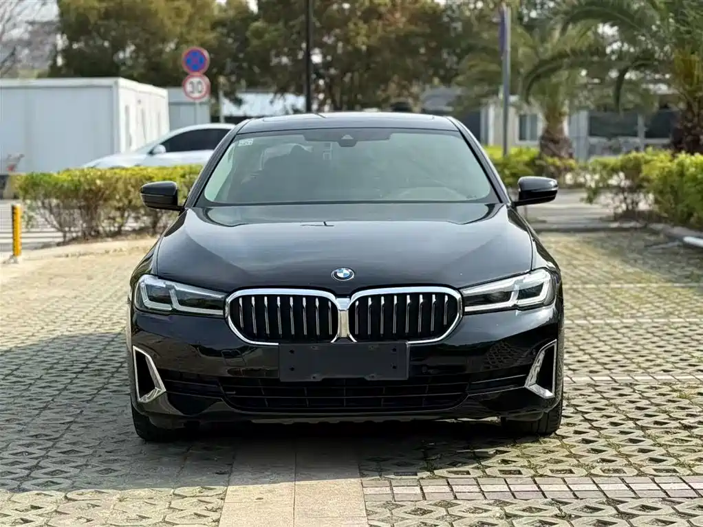 BMW 5 SERIES NEW ENERGY
