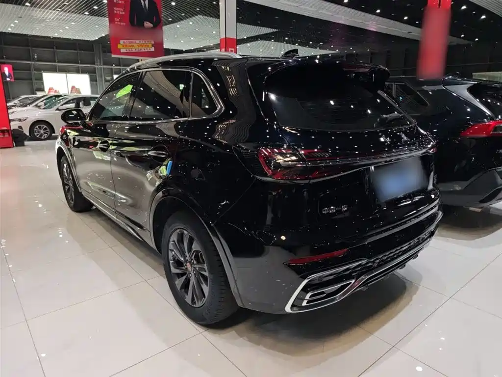 Hongqi HS5 2023 2.0T Flag Enjoy Pro Edition фото 13