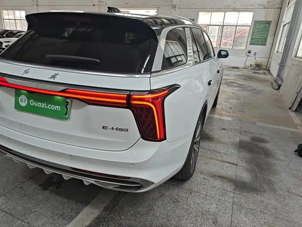 Hongqi E-HS9 2022 660km Qi Chang Edition (6-seater) фото 8
