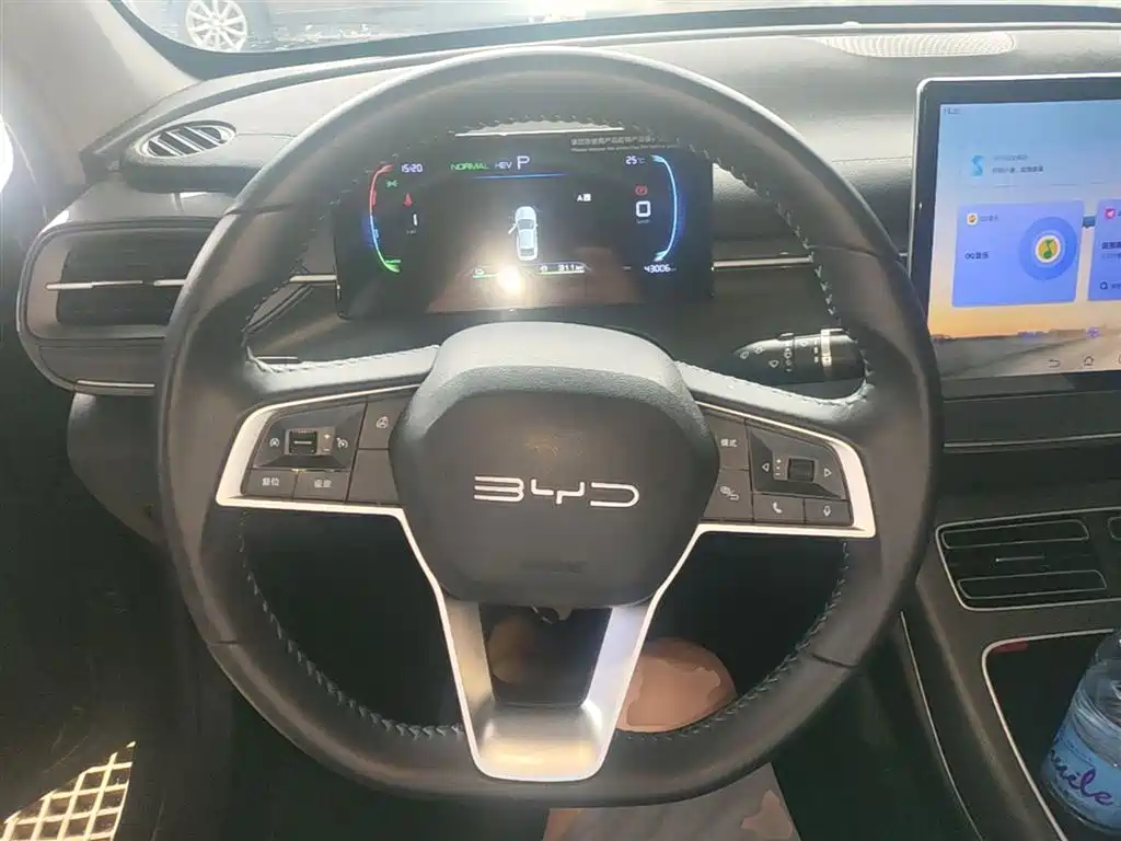 BYD Destroyer 05 2024 Glory Edition DM-i 55KM Luxury фото 11